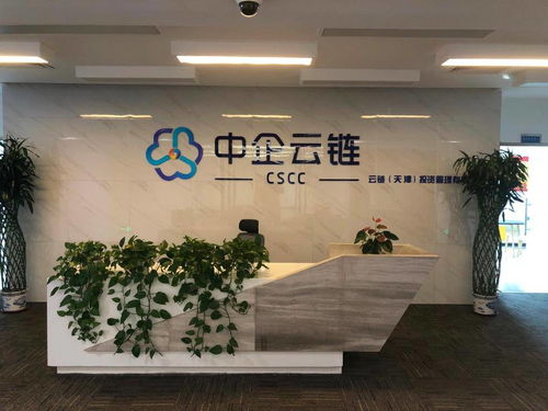 中企云鏈 安心扎根，舒心發展，創新金融科技服務與信息技術咨詢